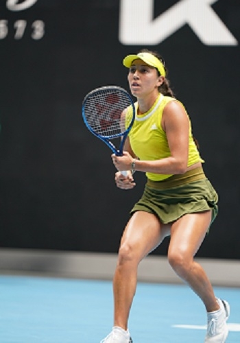 球迷们津津 球迷们津津