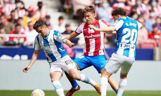 盯防罗慕洛 盯防罗慕洛